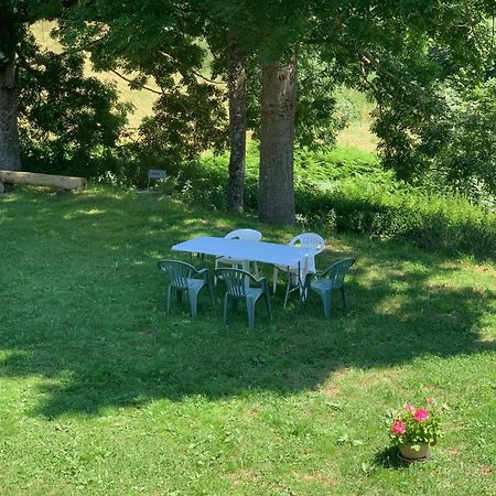 Ferme Au Calme A 15Mn Du Chambon Sur Lignon Villa Saint-Jeures Eksteriør billede